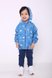 Вітровки дитячі Куртка-вітровка дитяча, блакитна, Модний карапуз Фото №5