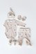 Боди с длинным рукавом Комплект для новорожденных Wind (боди, ползунки, шапочка, царапки, пинетки) сафари, MagBaby Фото №1