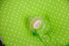 Подушки Дитяча подушка для новонароджених з власником, салатова, MagBaby Фото №2
