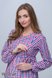 Блузи, сорочки Картата блуза для вагітних і годуючих SHADE NEW, Юла мама Фото №2