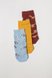 Шкарпетки Шкарпетки дитячі Зоо, набір 3 шт, блакитний, гірчичний, коричневий, Мамин Дом Фото №1